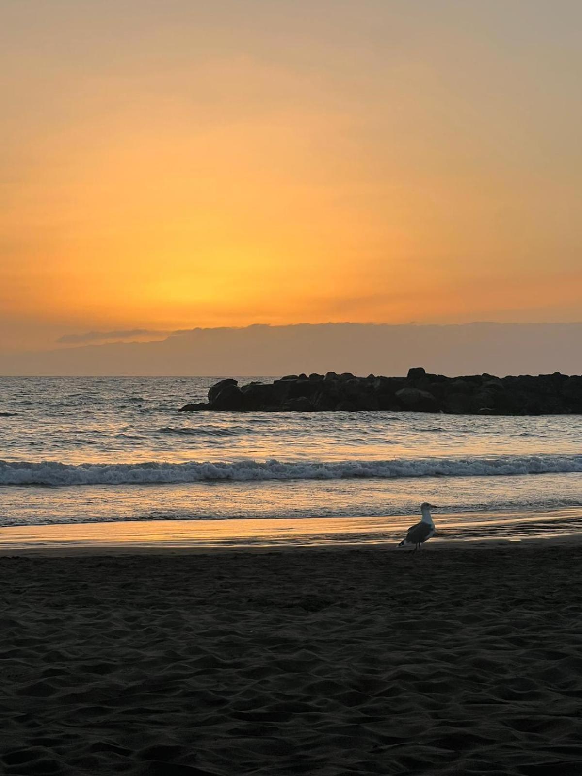 Apartamento En Primera Linea De Playa, Centrico, Tranquilo Плая де лас Америкас Екстериор снимка